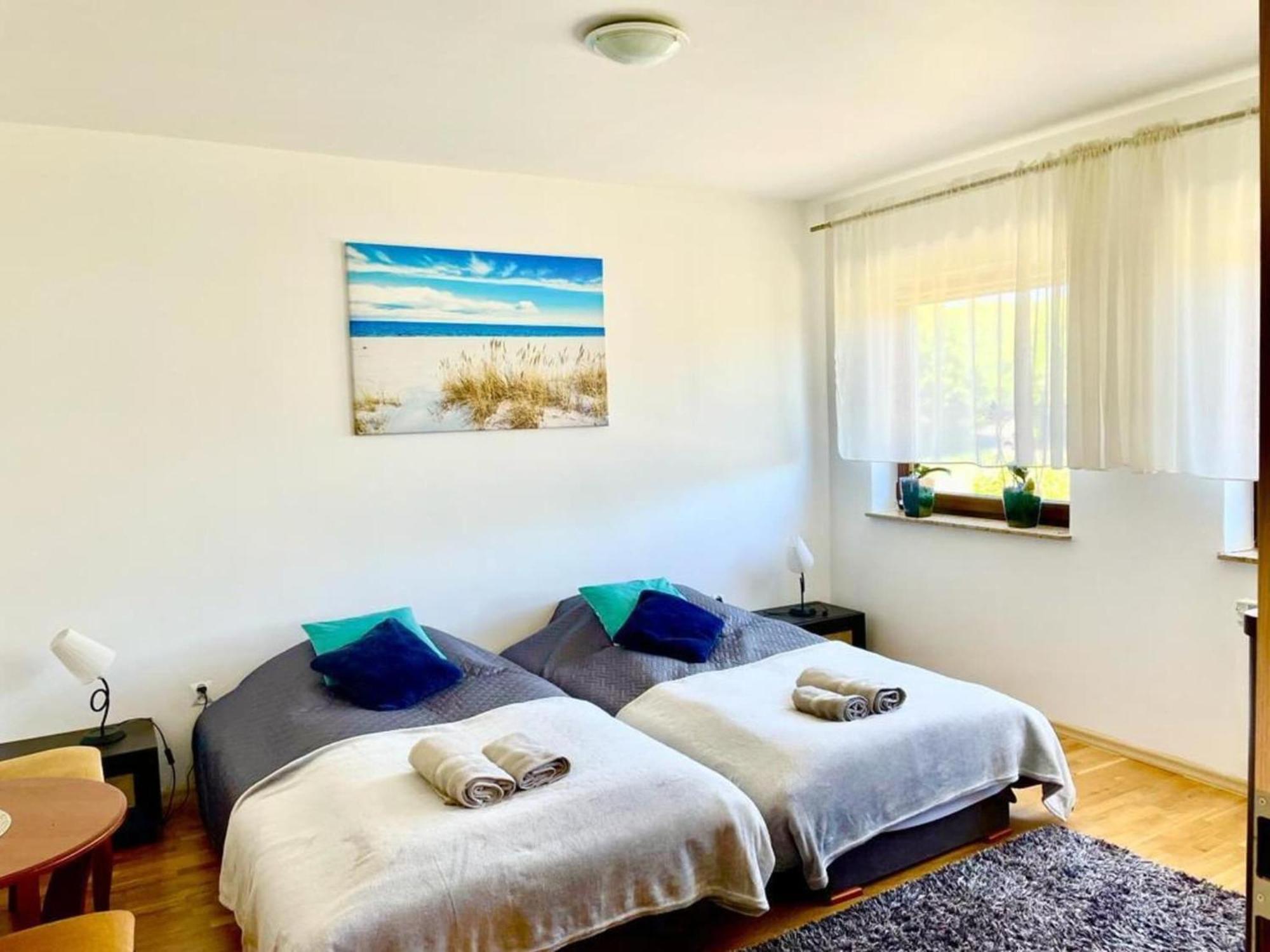 Holiday Spacious Modern Flat In Dabrowa Gostyniec エクステリア 写真